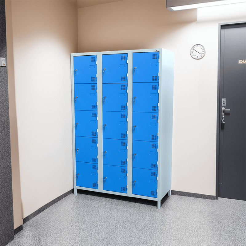 Multi-case locker